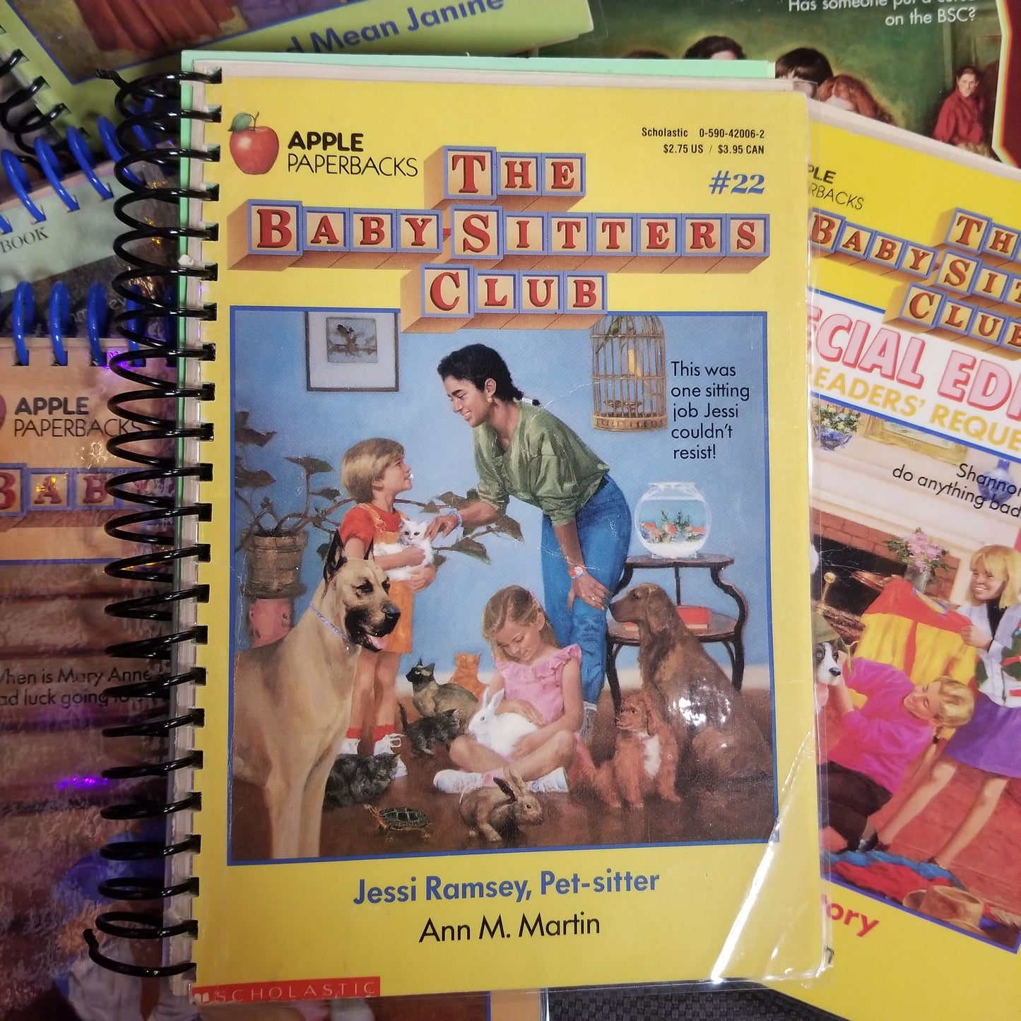 The Babysitter's Club Book Sketchbooks / NOTEBOOKs