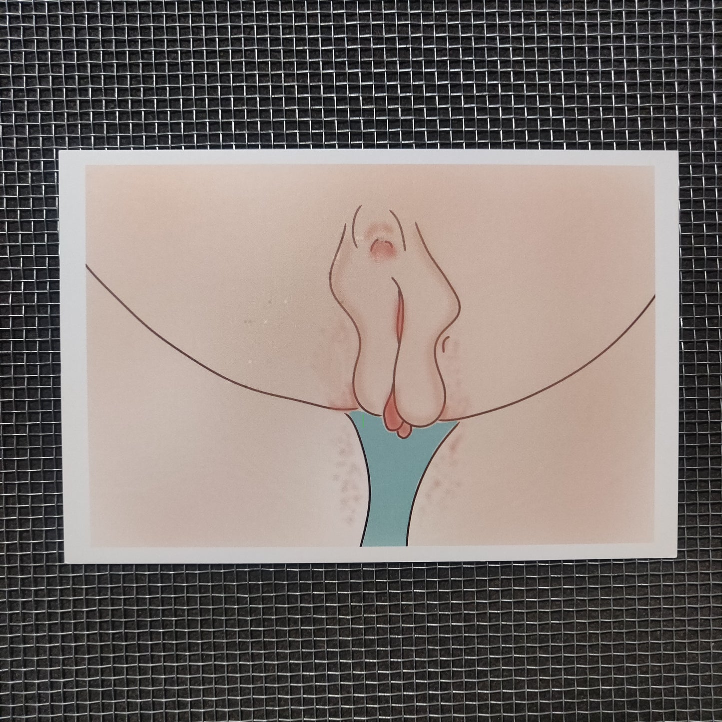 Vulva with Teal Background Small Print