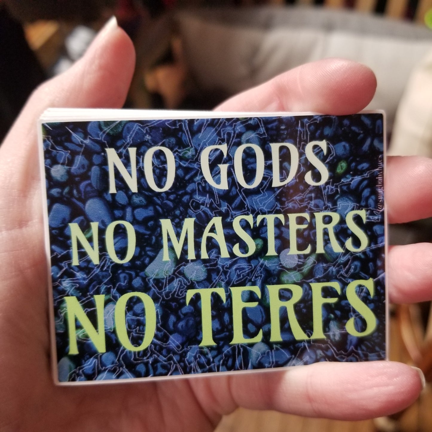 No Gods No Masters No Terfs 2 STICKER