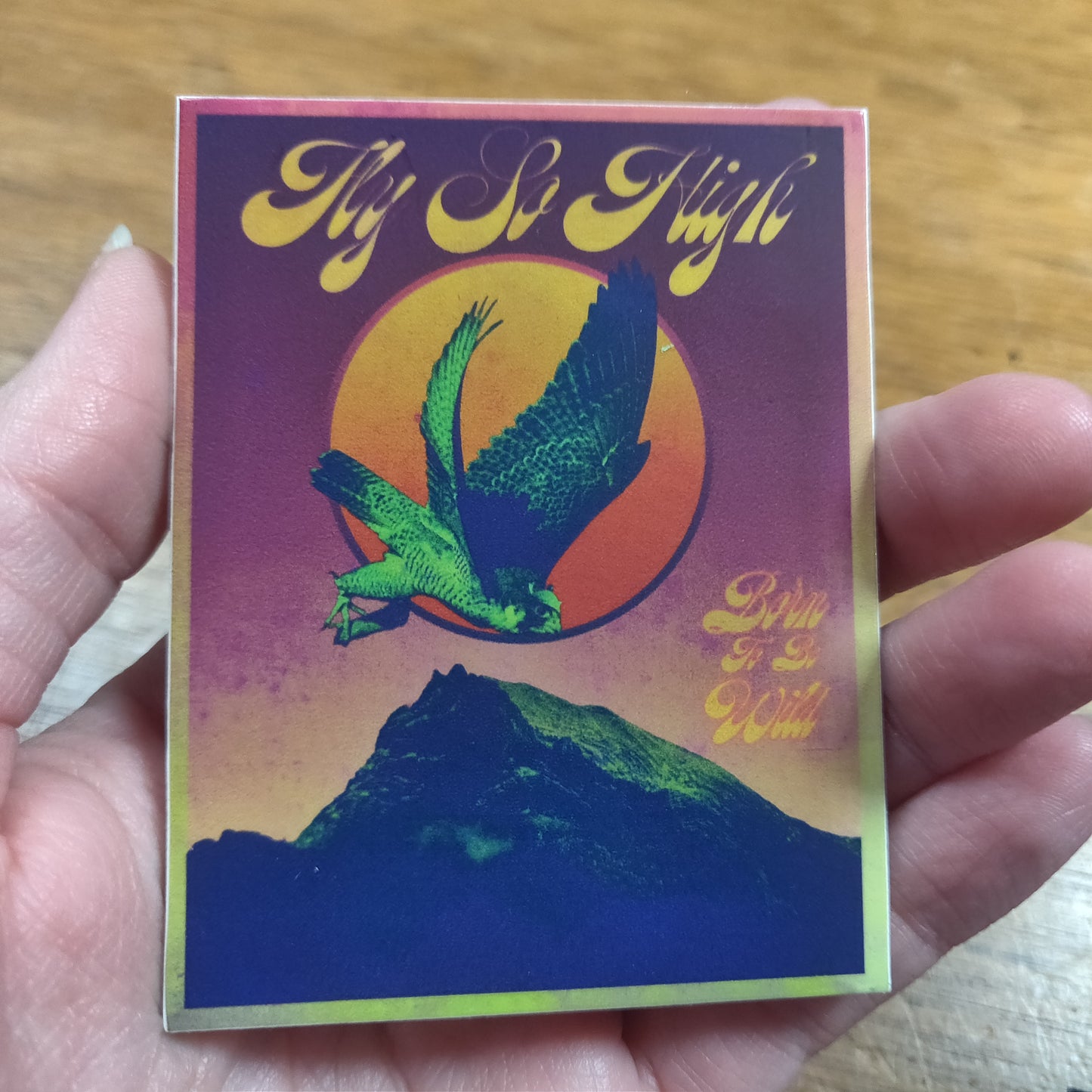 Fly So High Vinyl STiCKER