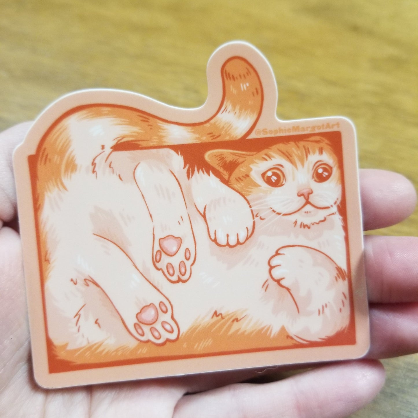 Cat in a Box STiCKER