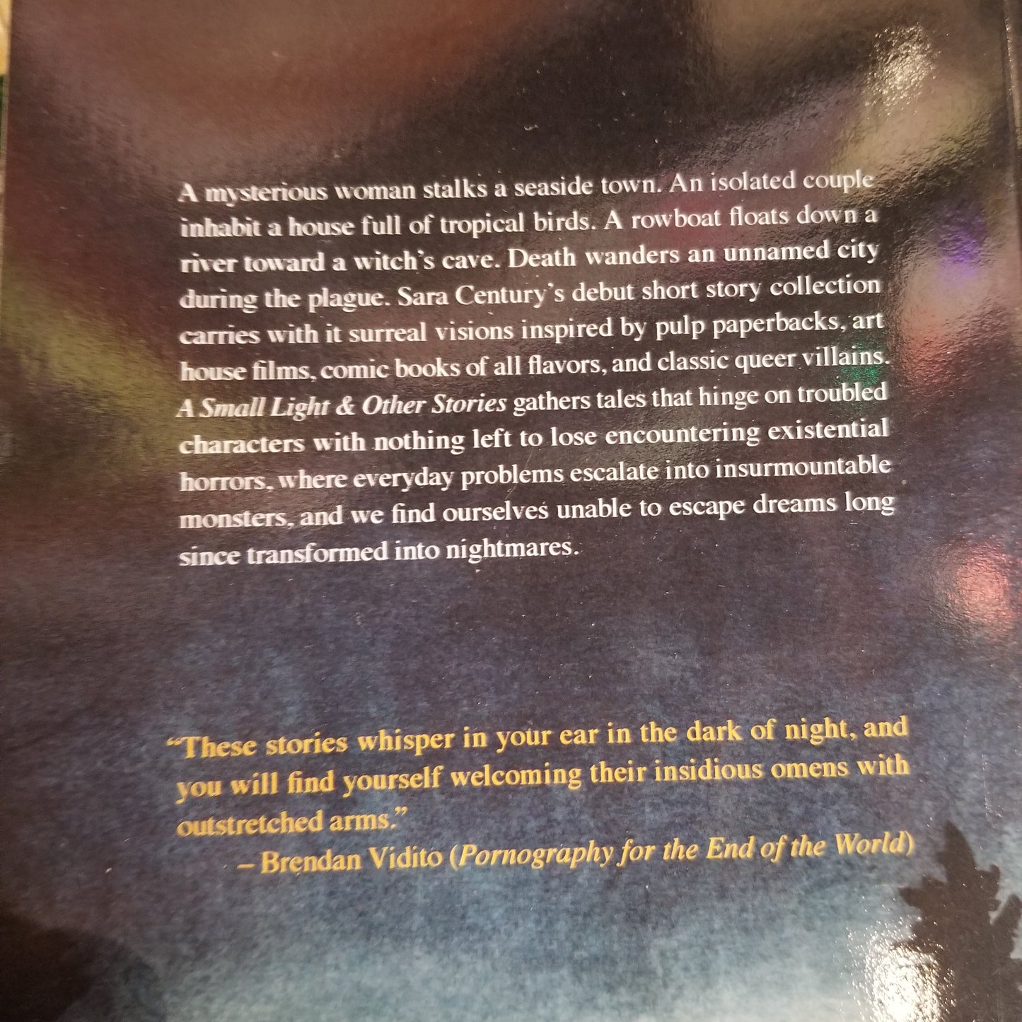 A Small Light & Other Stories by Sara Century