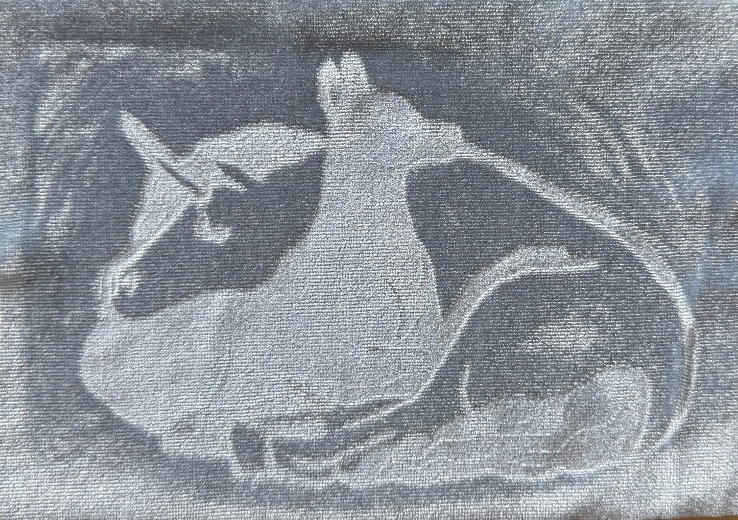 Tender Thicket Embossed PATCH