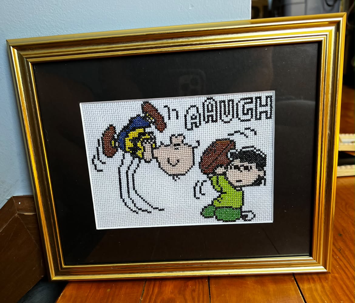 AAUGH Large Framed Cross-Stitch