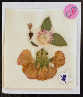 a jolly fae to light your way PRESSED FLOWER STiCKER by a sticker fairy