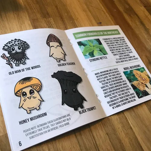 Seed Bomb ZiNE Issue #1 Stuff About Plants