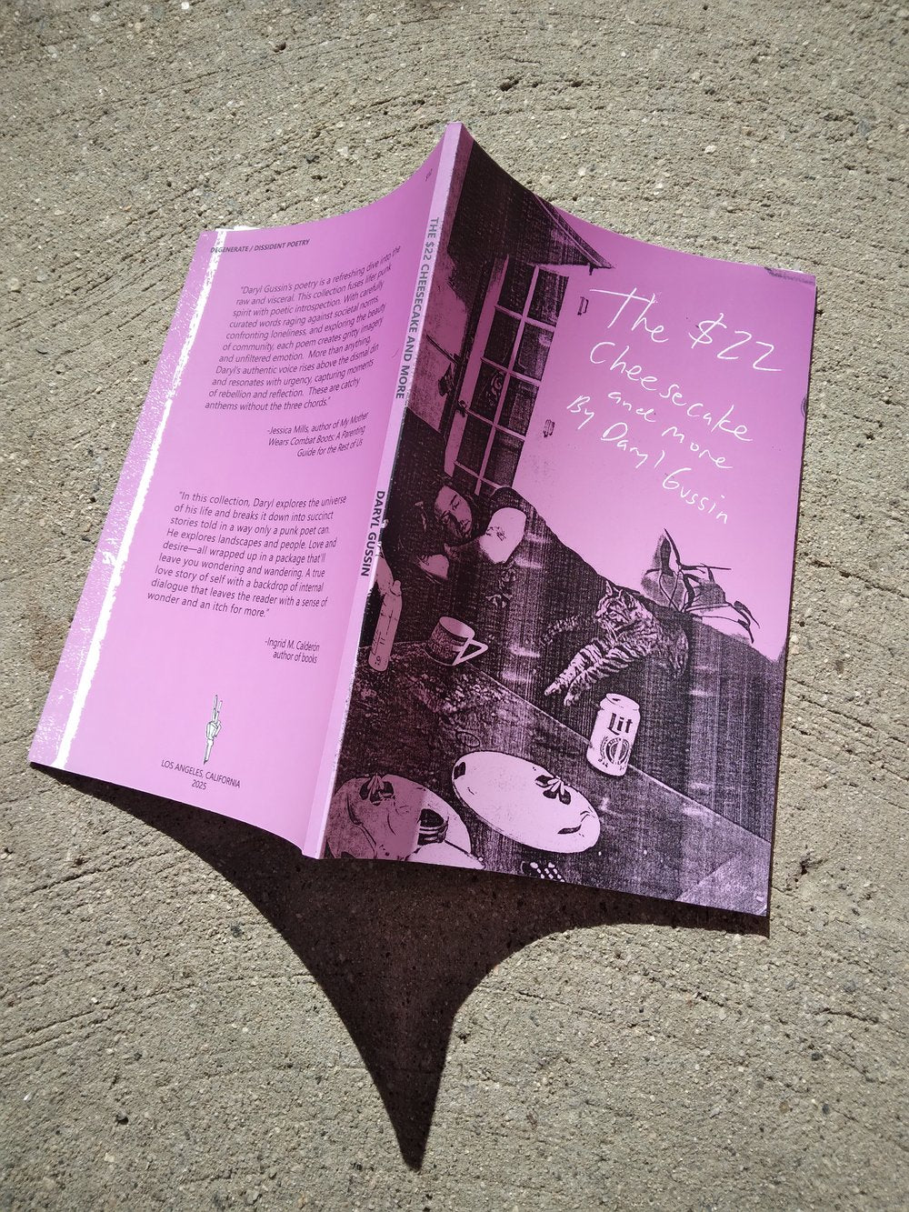 The $22 Cheesecake and more PUNK POETRY ZiNE By: Daryl Gussin