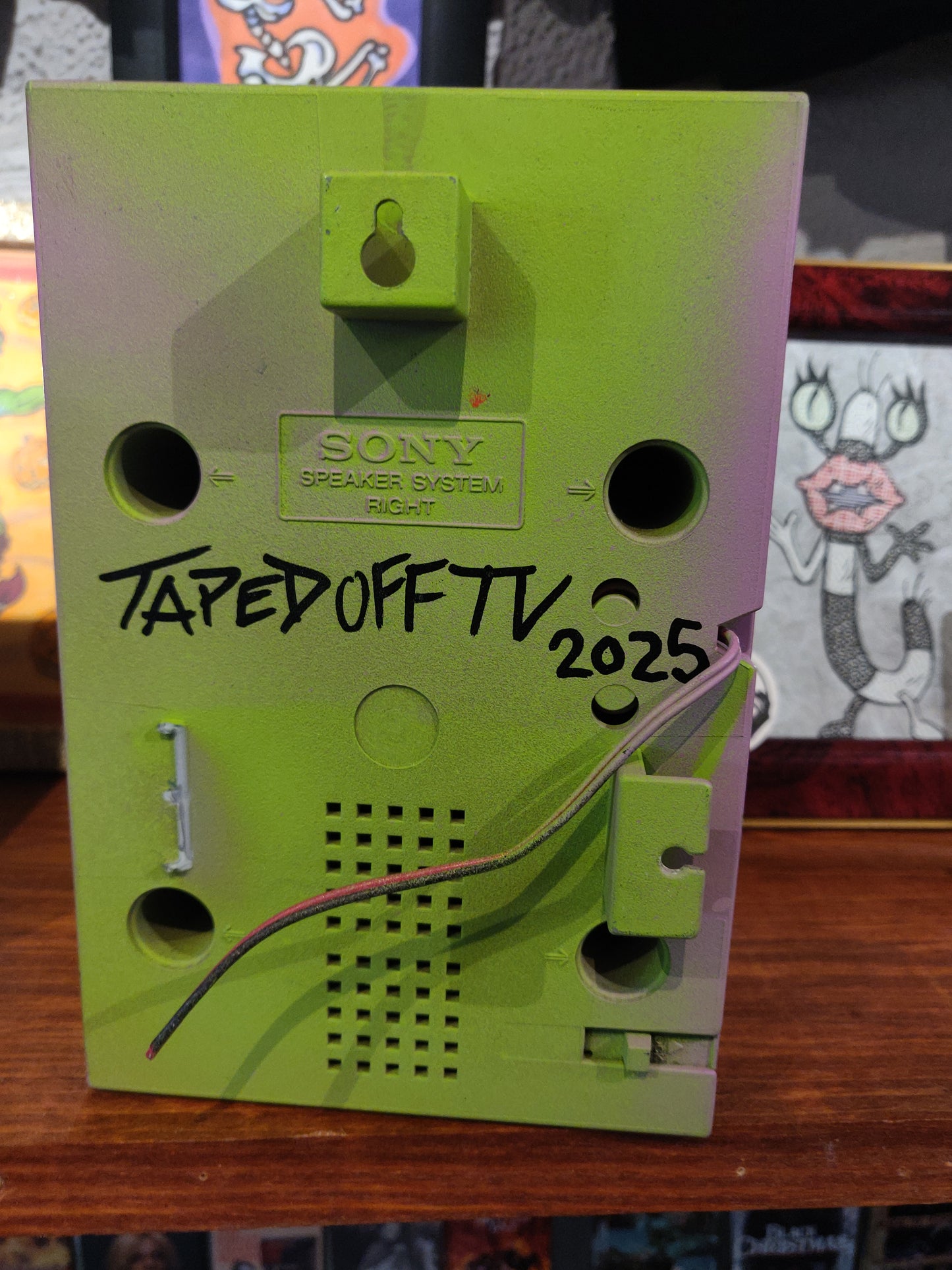 Fight The Real Enemy Sinéad Speaker WALL / SHELF ART by Taped Off TV