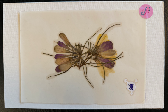 self-portrait PRESSED FLOWER STiCKER by a sticker fairy