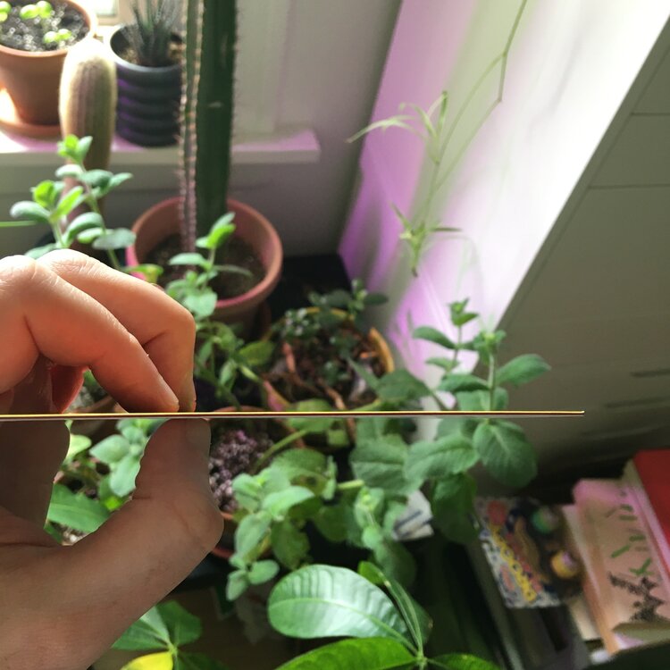 420 Cat POSTCARD / Small Print by the666cat