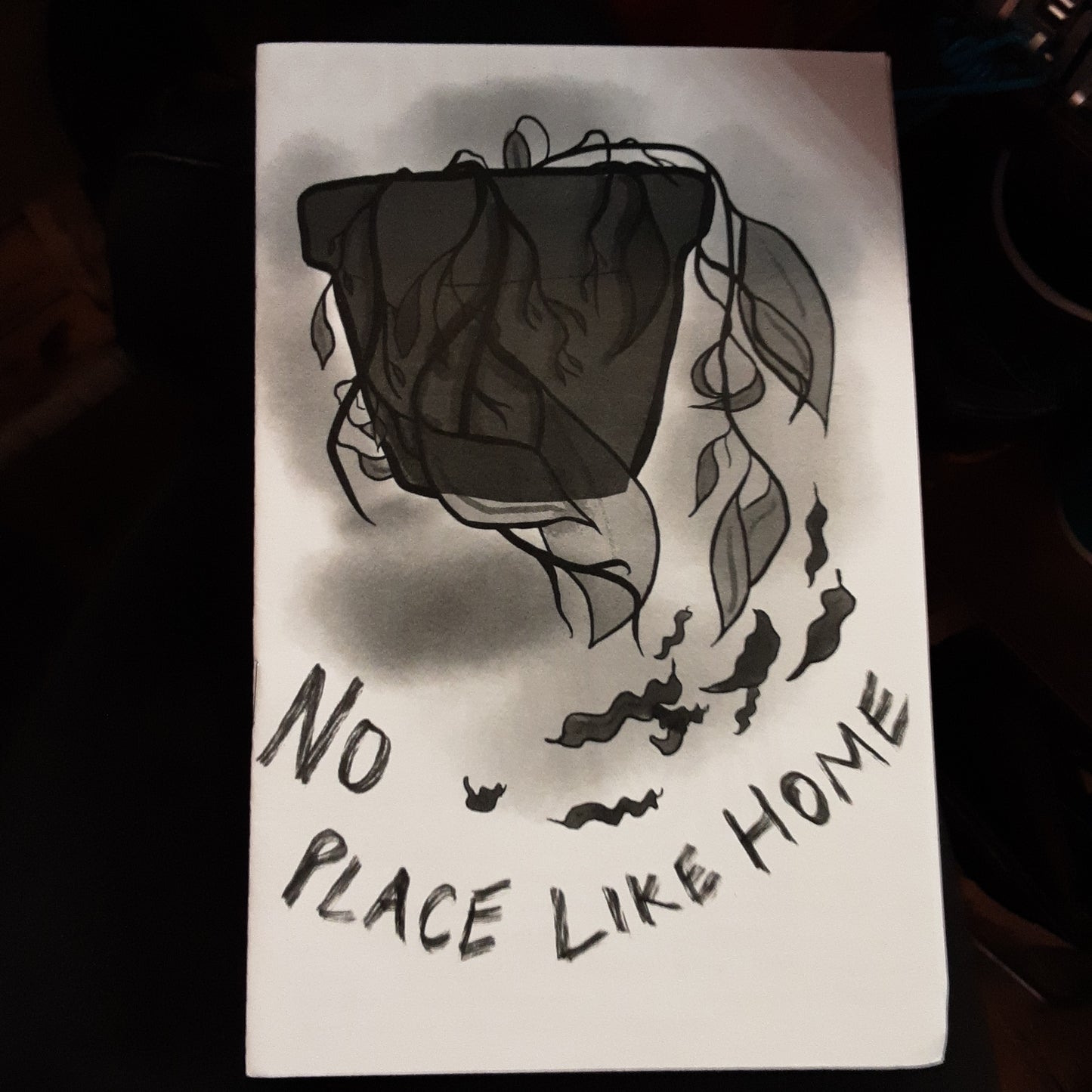 No Place Like Home ZiNE