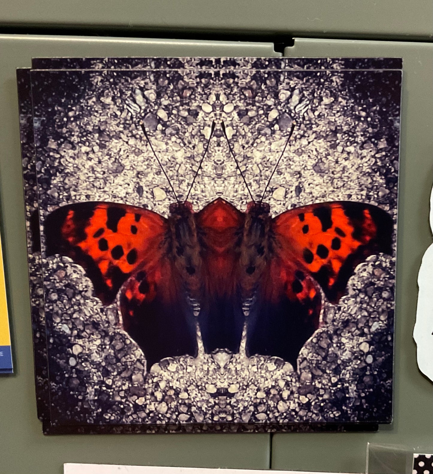 Red Moth MAGNET