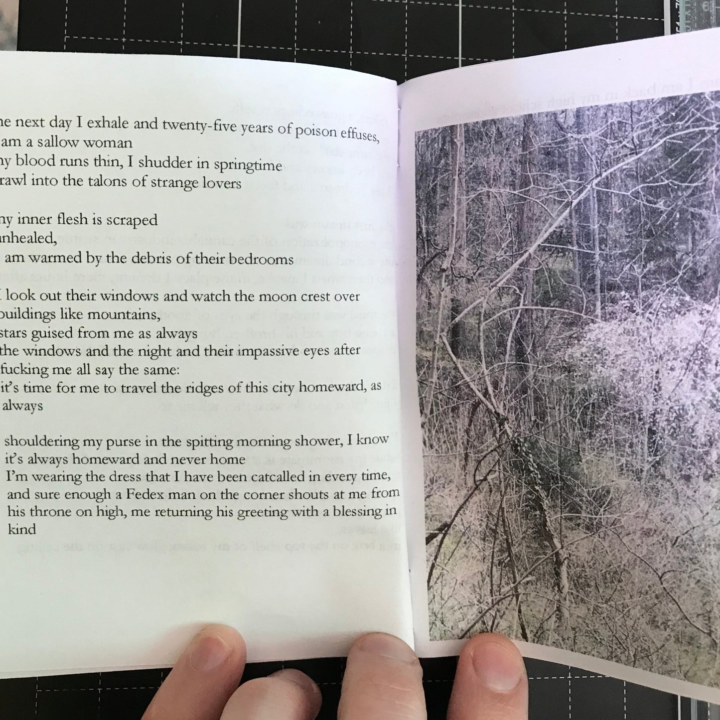 Placental Poetry ZiNE