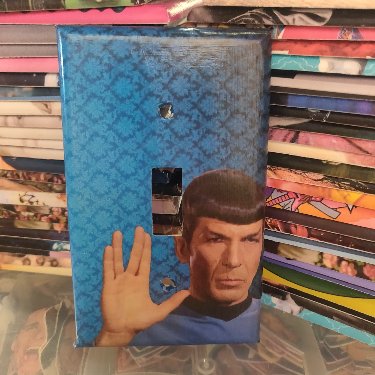 Leonard LIGHT SWITCH PLATE