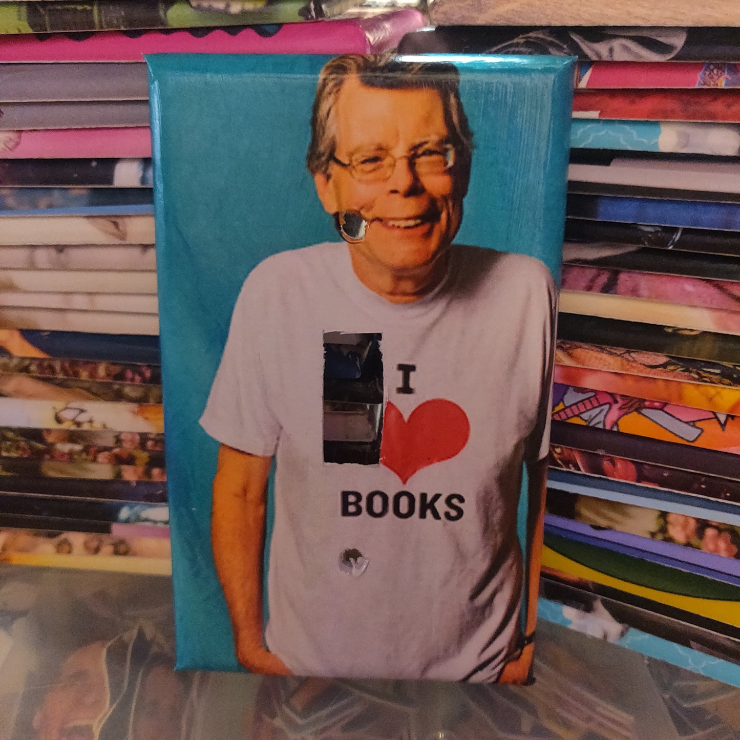 Stephen King LIGHT SWITCH PLATE