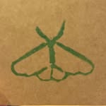 Green Moth