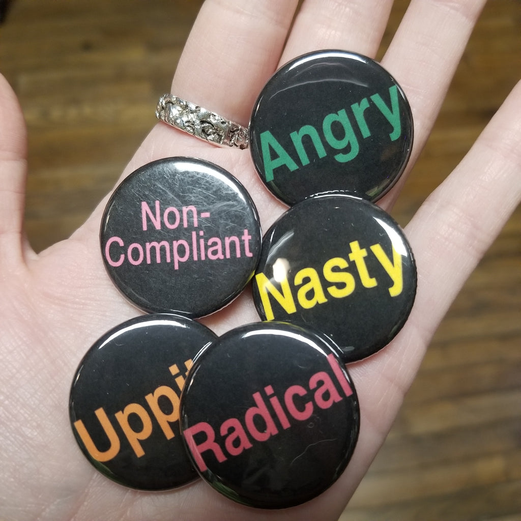 Nasty Radical Non-Compliant PiNS