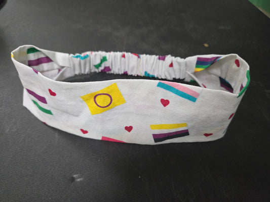 LGBTQ+ Queer Pride Flag HEADBAND