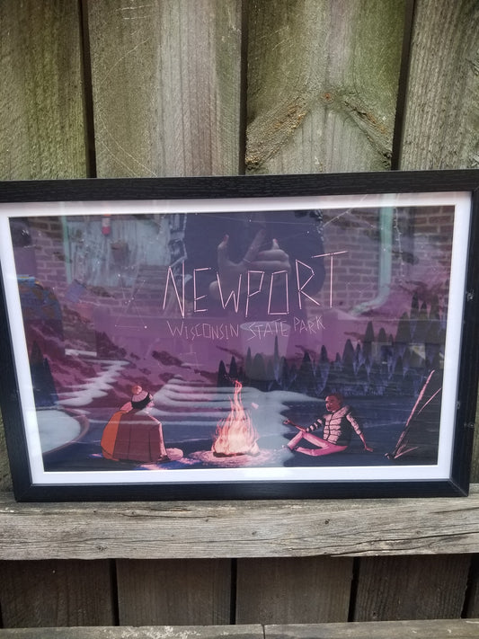 Newport Wisconsin State Park POSTER / PRINT FRAMED