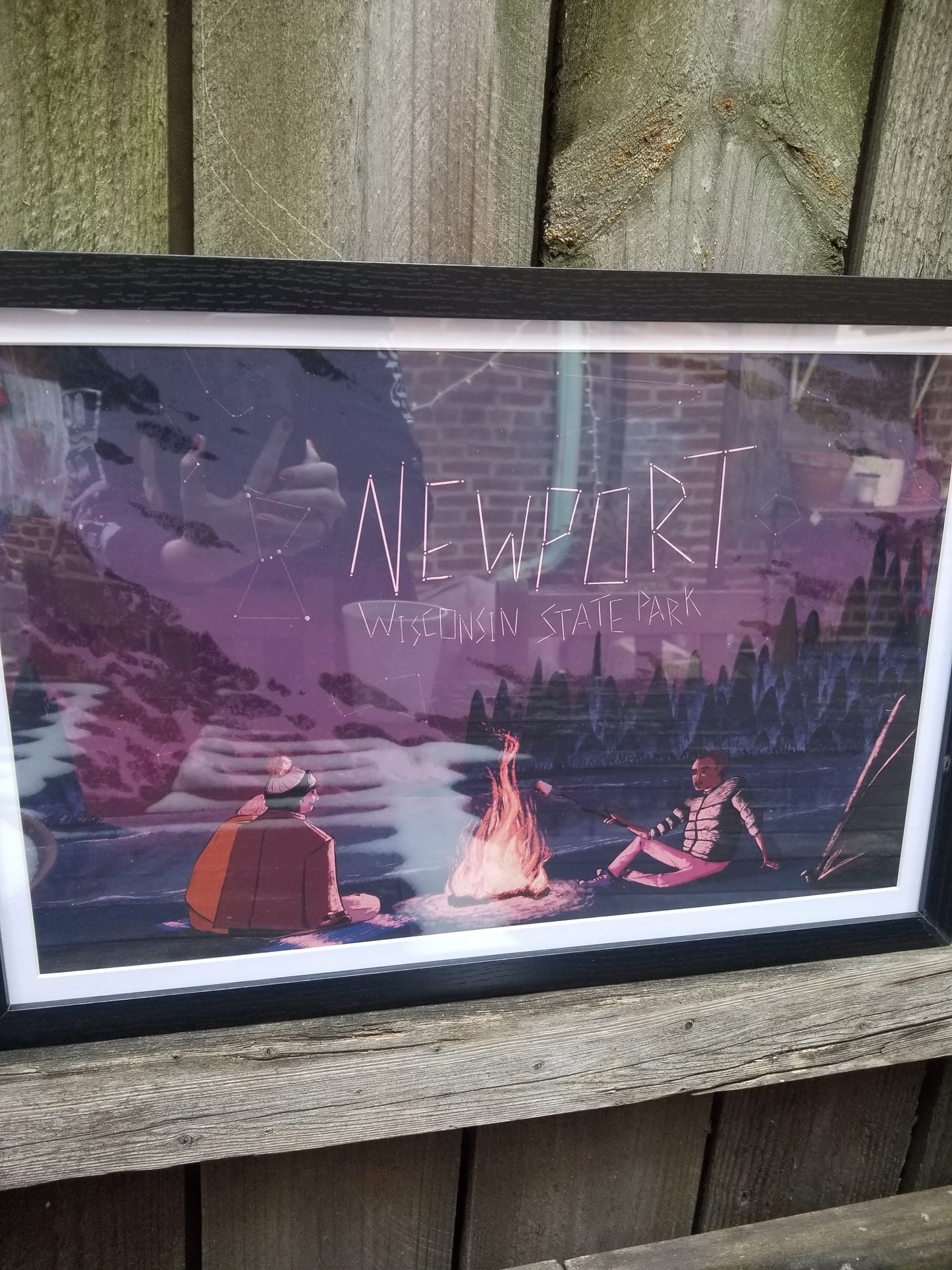 Newport Wisconsin State Park POSTER / PRINT FRAMED