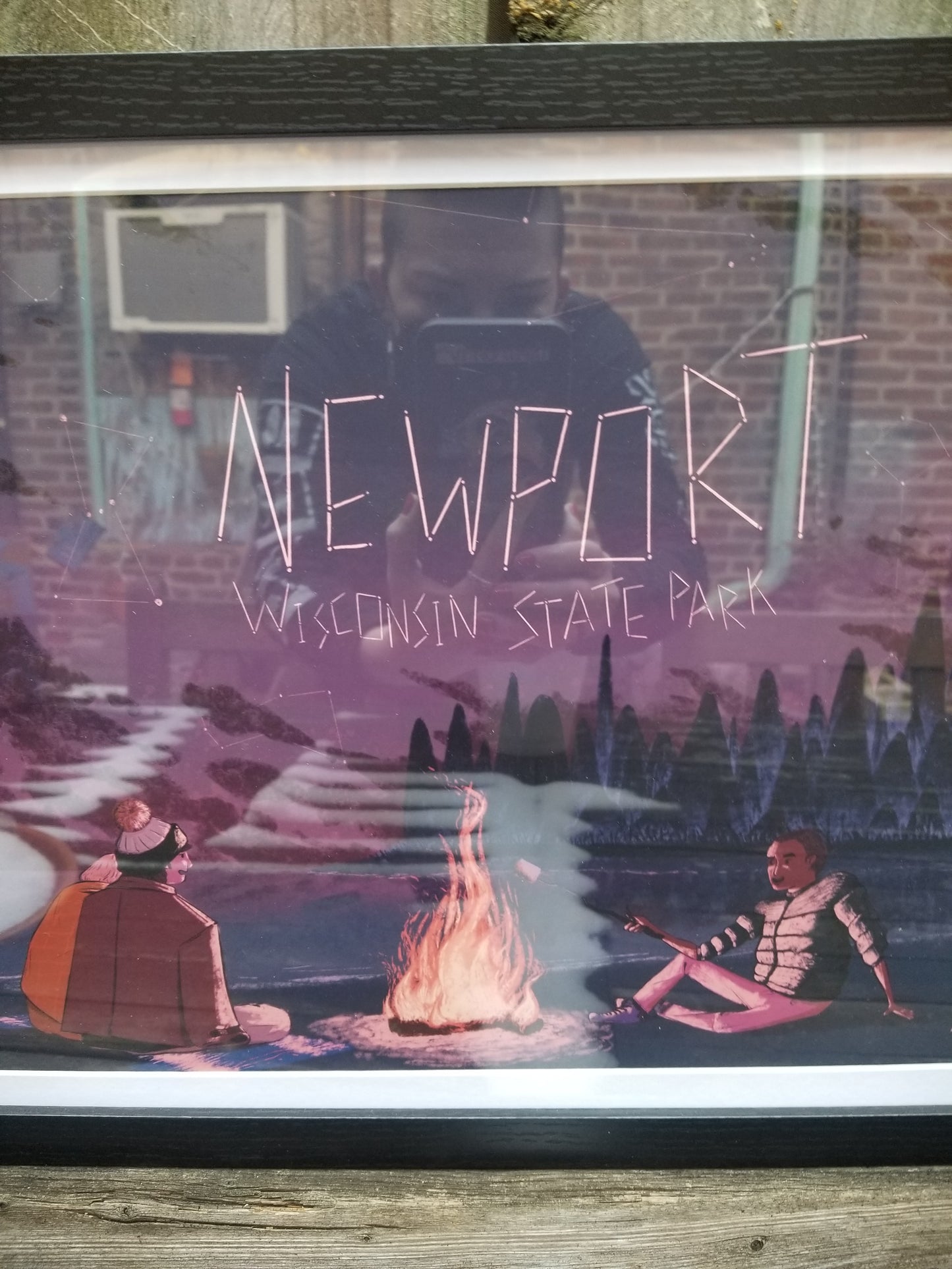 Newport Wisconsin State Park POSTER / PRINT FRAMED