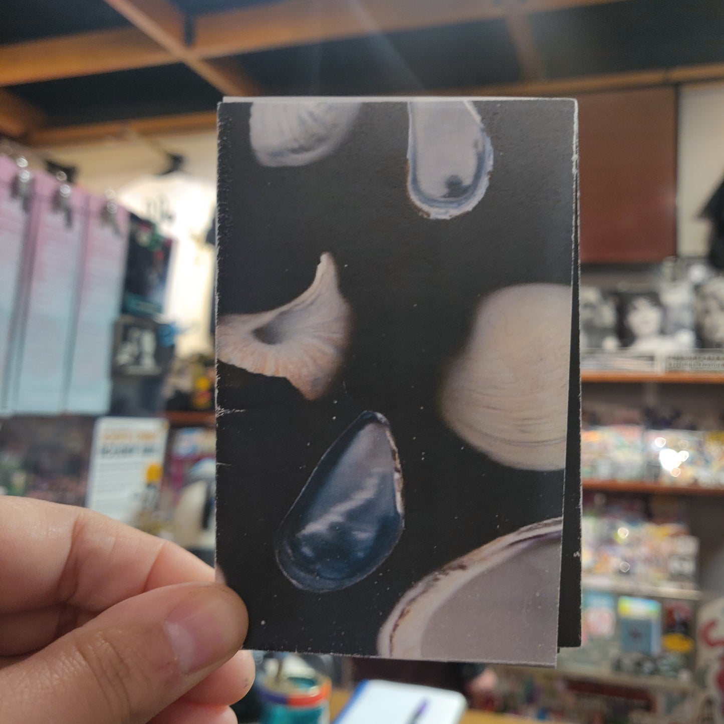 Outer Space Sea Shells ZiNE