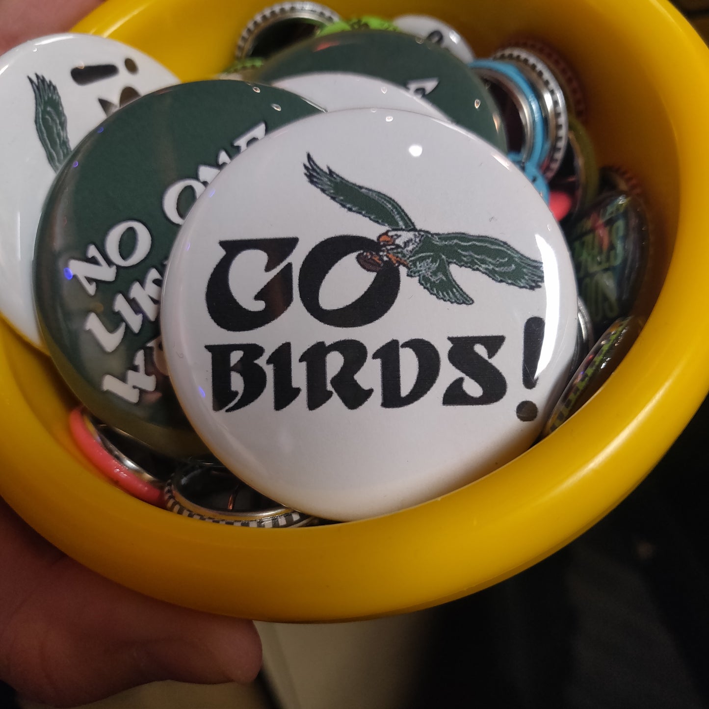 Go Birds! PiN