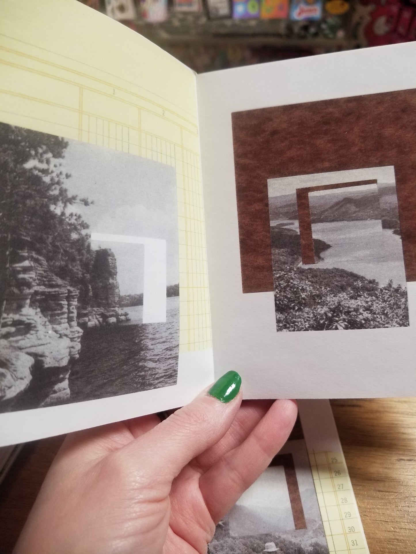 State of Wonder Collage ZiNE