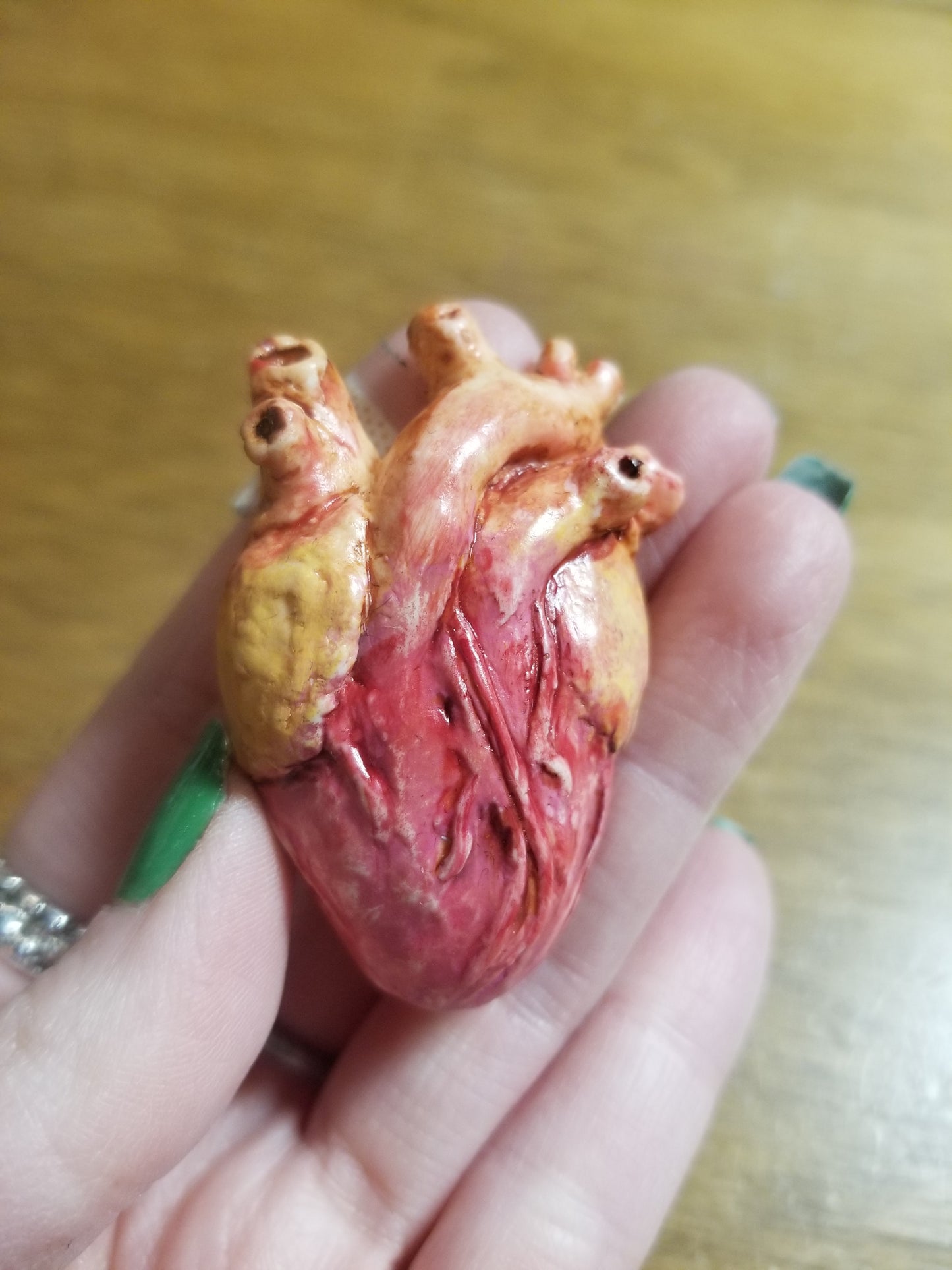 Anatomical Heart Hand-sculpted PiNS / BROOCH