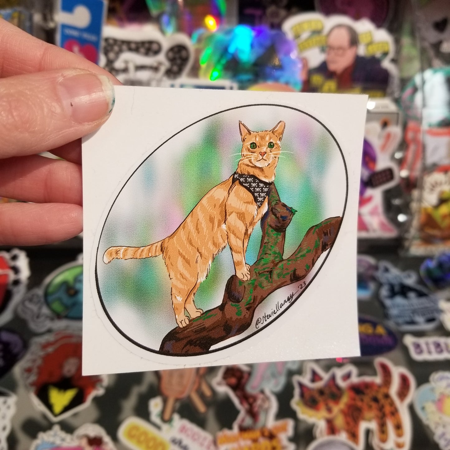 Clem in a tree STICKER