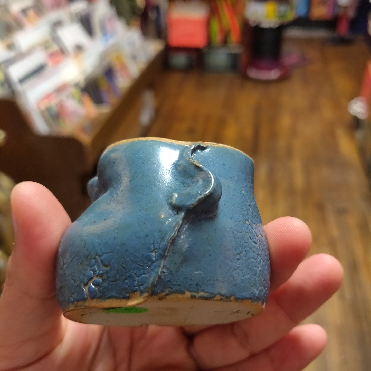 Small Blue with Crackled Forehead Beeb CUP