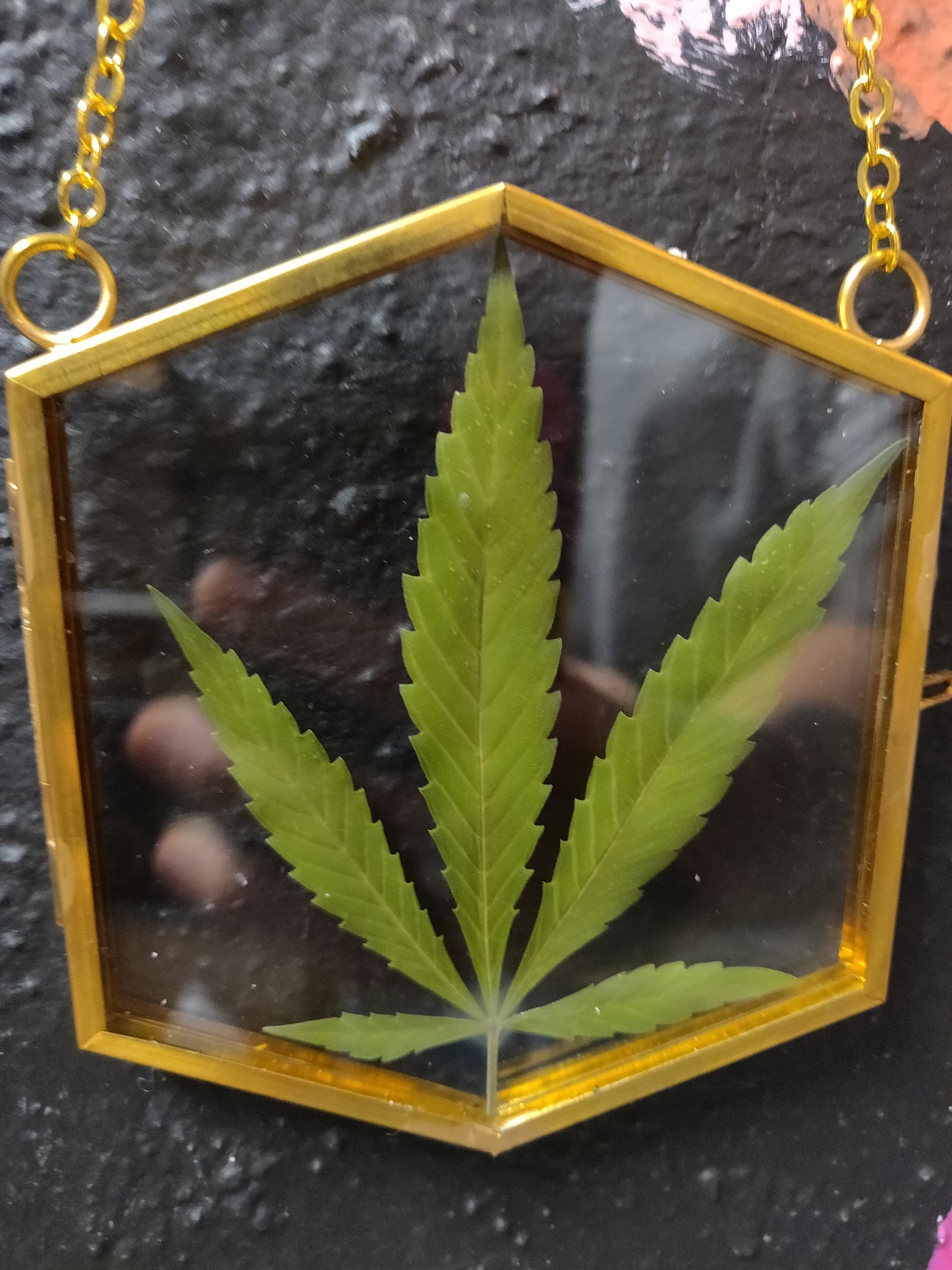 Bud Pressed Flower Rectangle Glass WALL HANGING