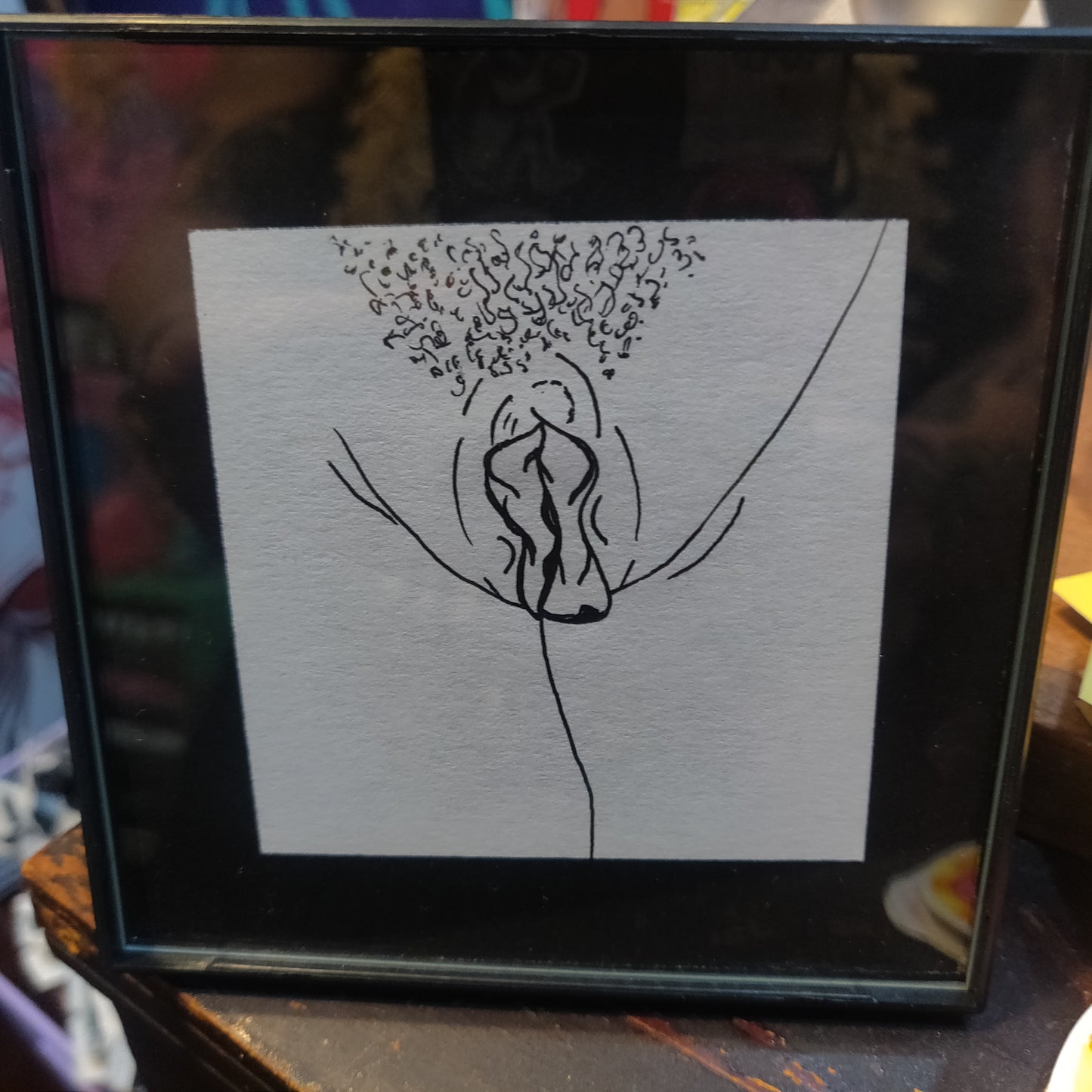 Framed Vulva Drawings Batch 1