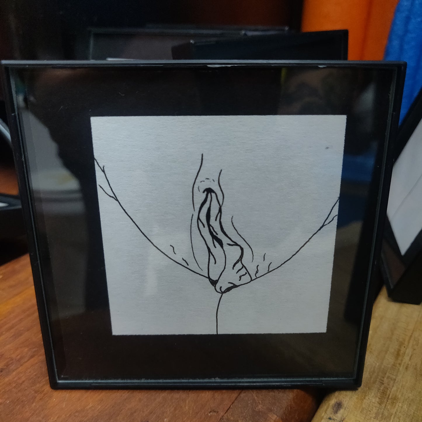 Framed Vulva Drawings Batch 1