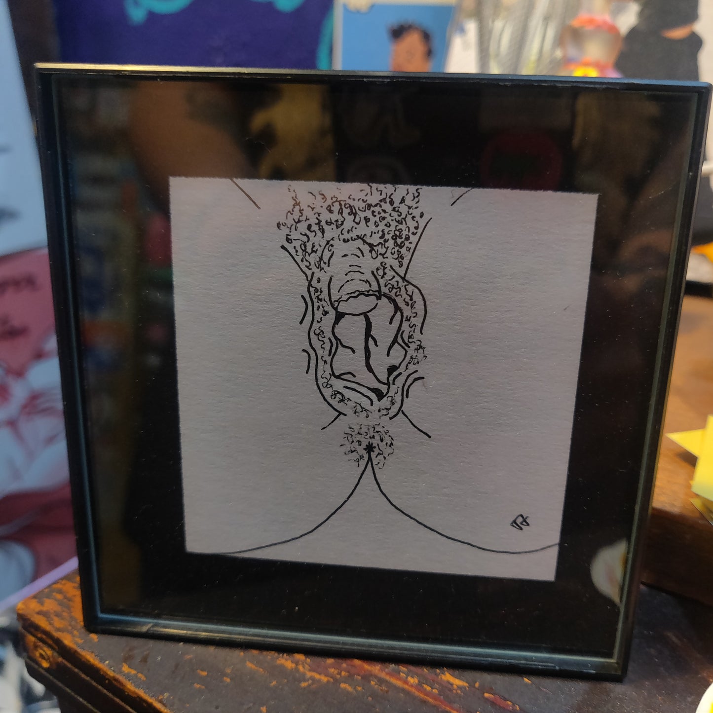 Framed Vulva Drawings Batch 1