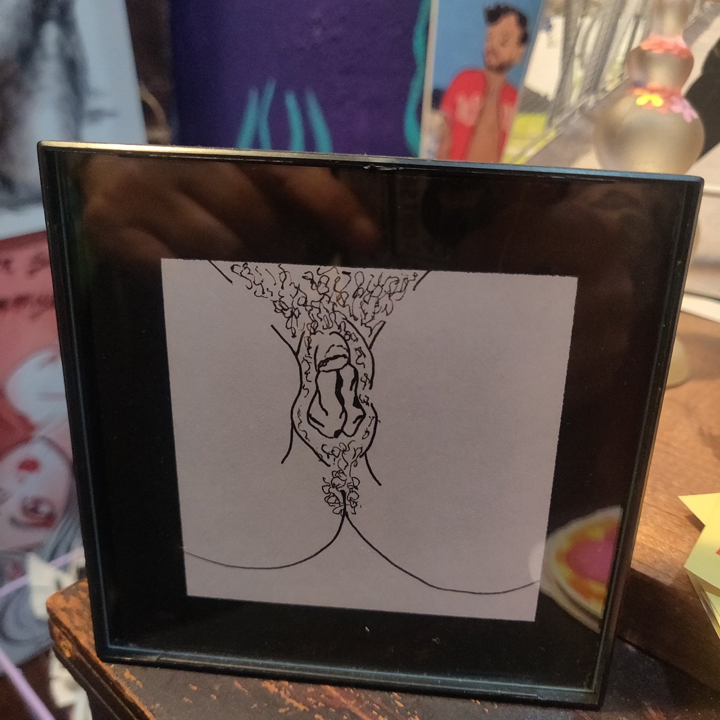 Framed Vulva Drawings Batch 2