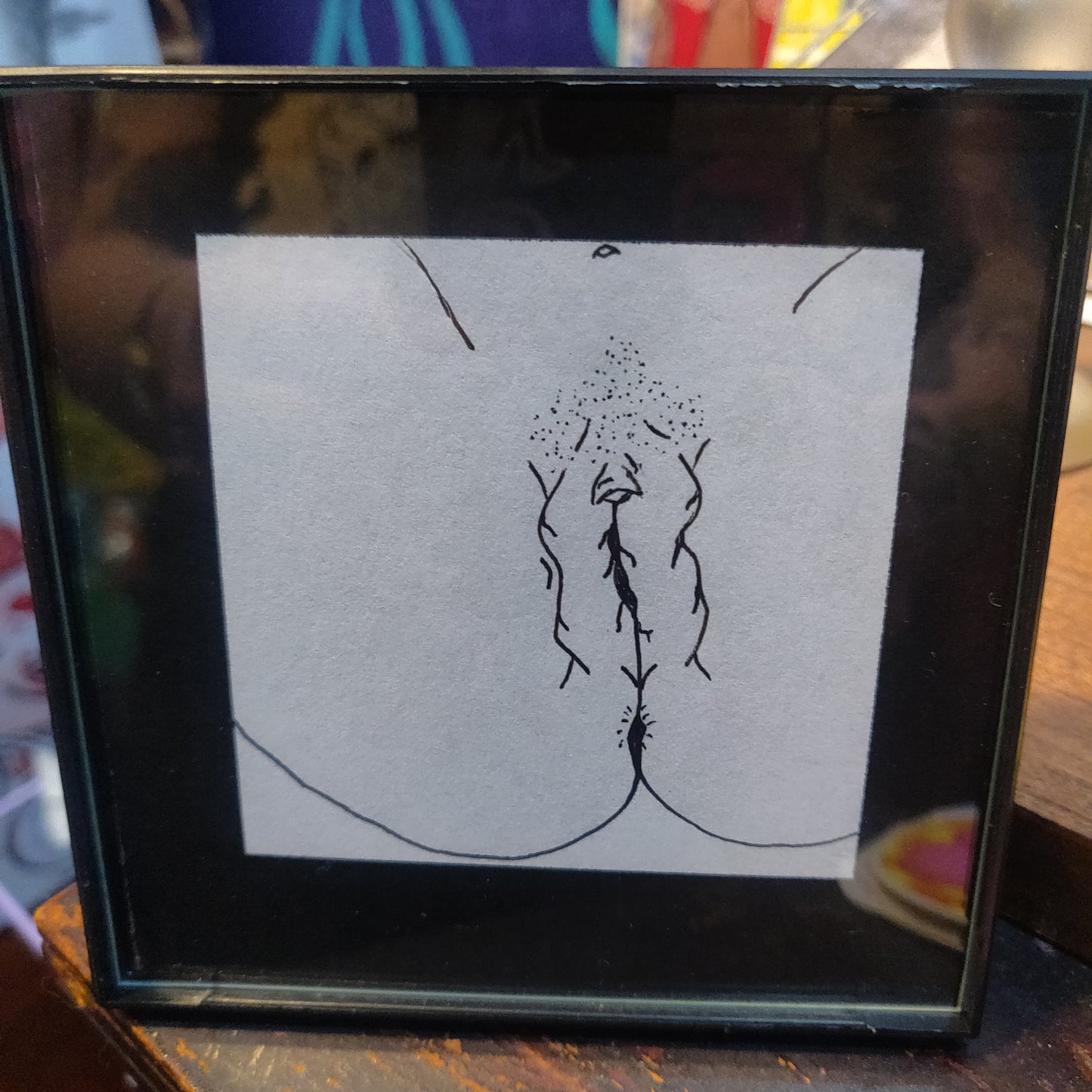 Framed Vulva Drawings Batch 2