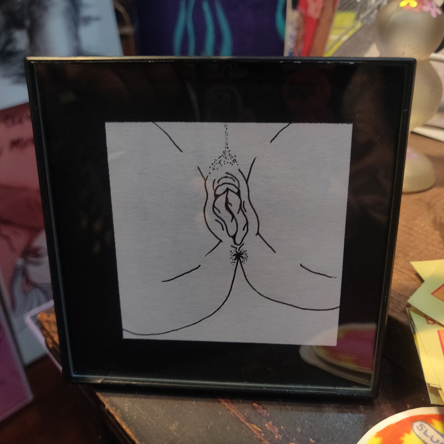 Framed Vulva Drawings Batch 2
