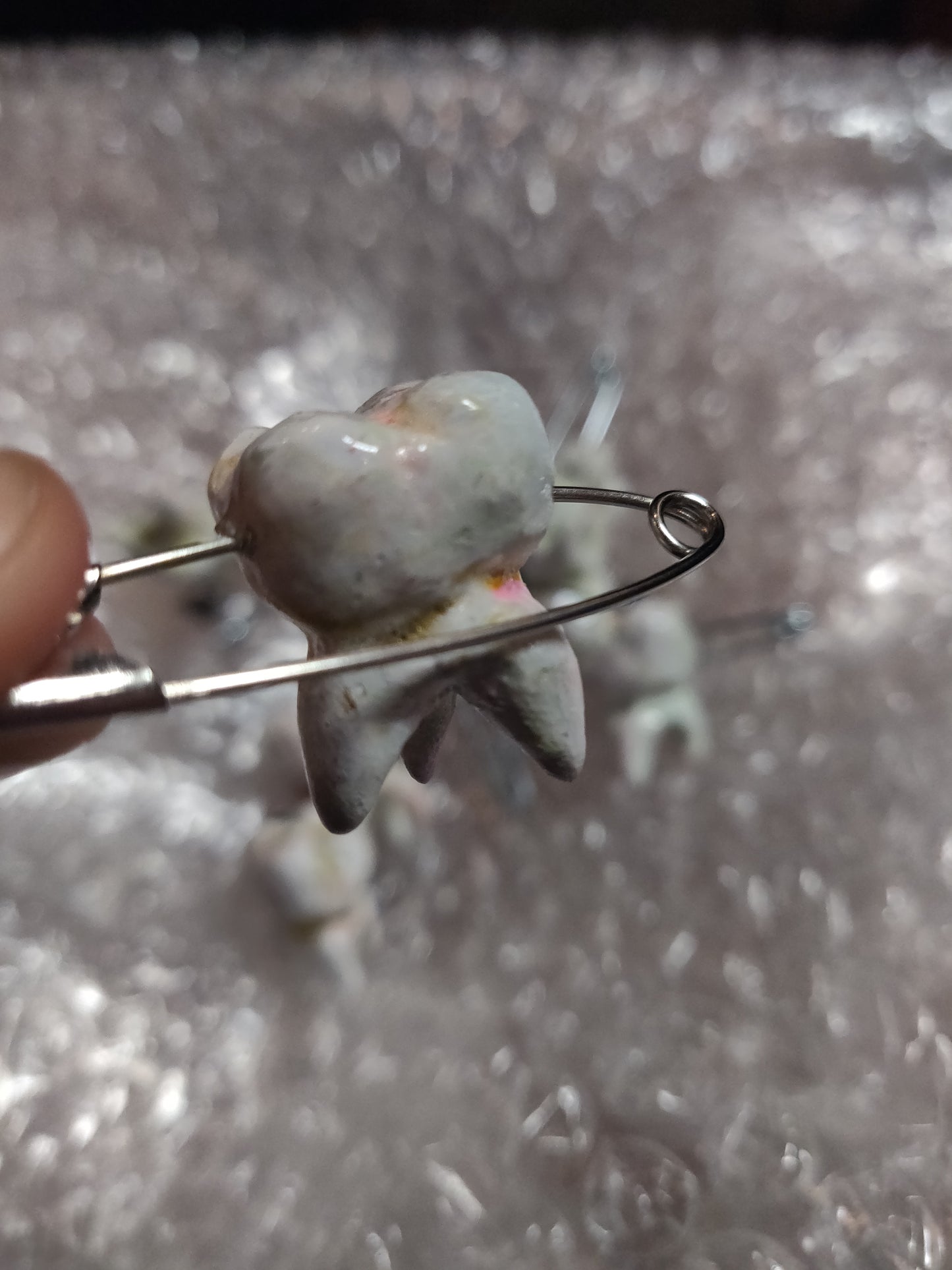 Handmade TOOTH PiNS & Pendants by Giles Crawford