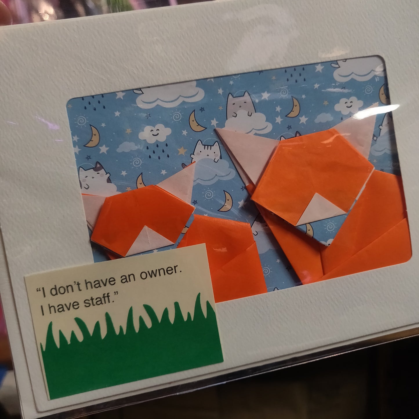 Nova's Cat Friends Origami GREETiNG CARDS