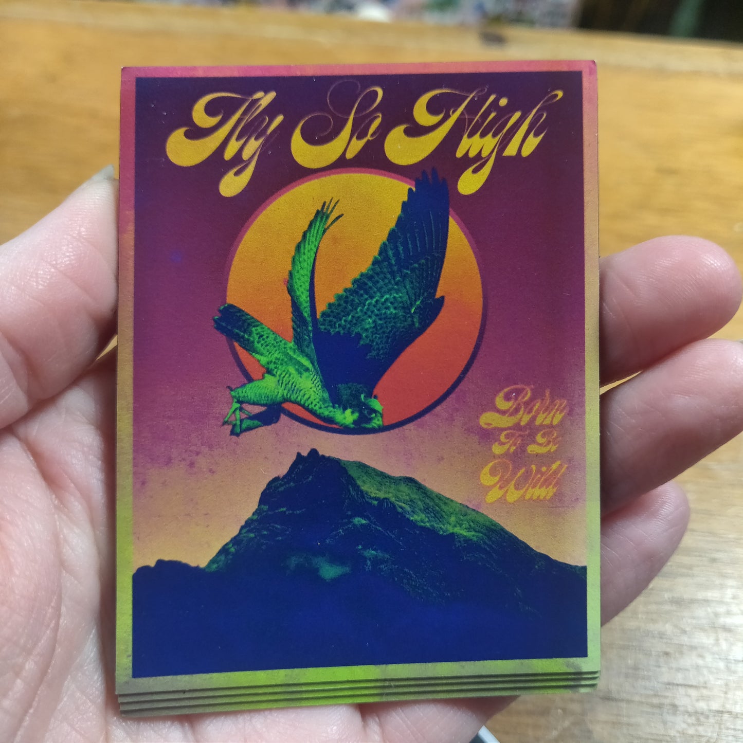Fly So High MAGNET