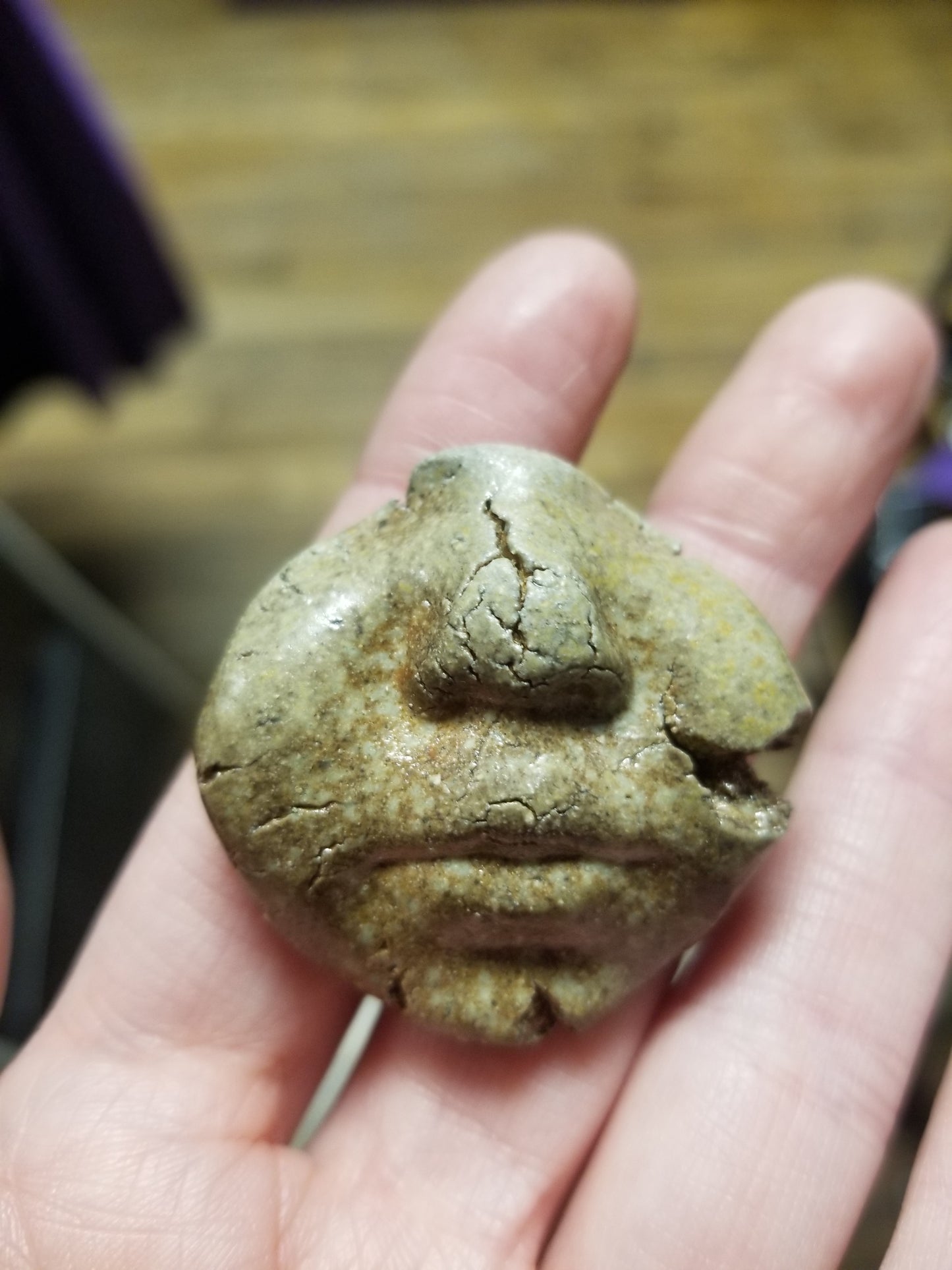 Ceramic Beeb Head MAGNETs