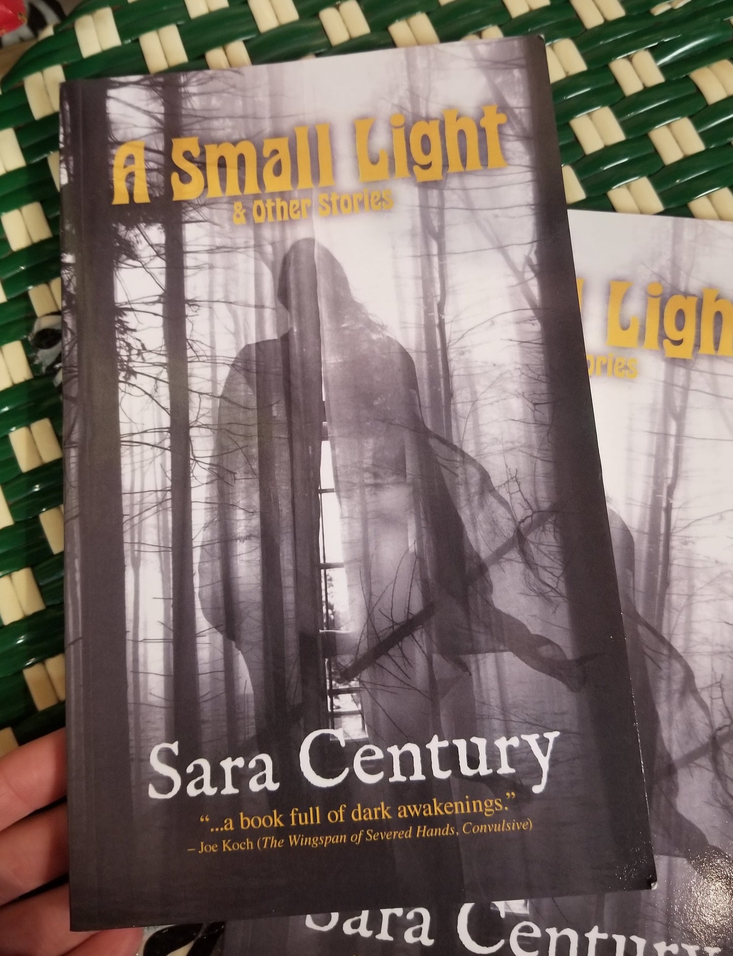 A Small Light & Other Stories by Sara Century
