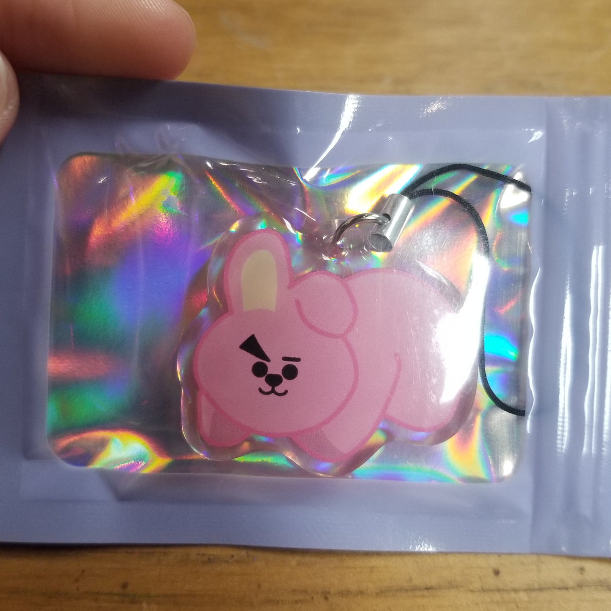 Pillow Friends B21 Phone Charm