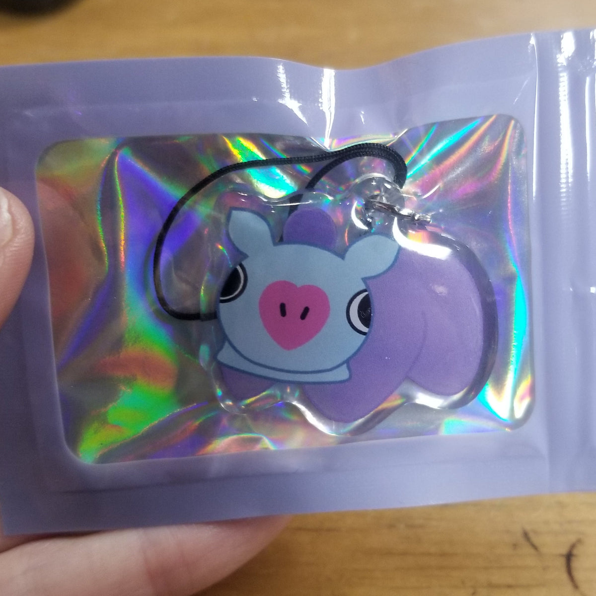 Pillow Friends B21 Phone Charm