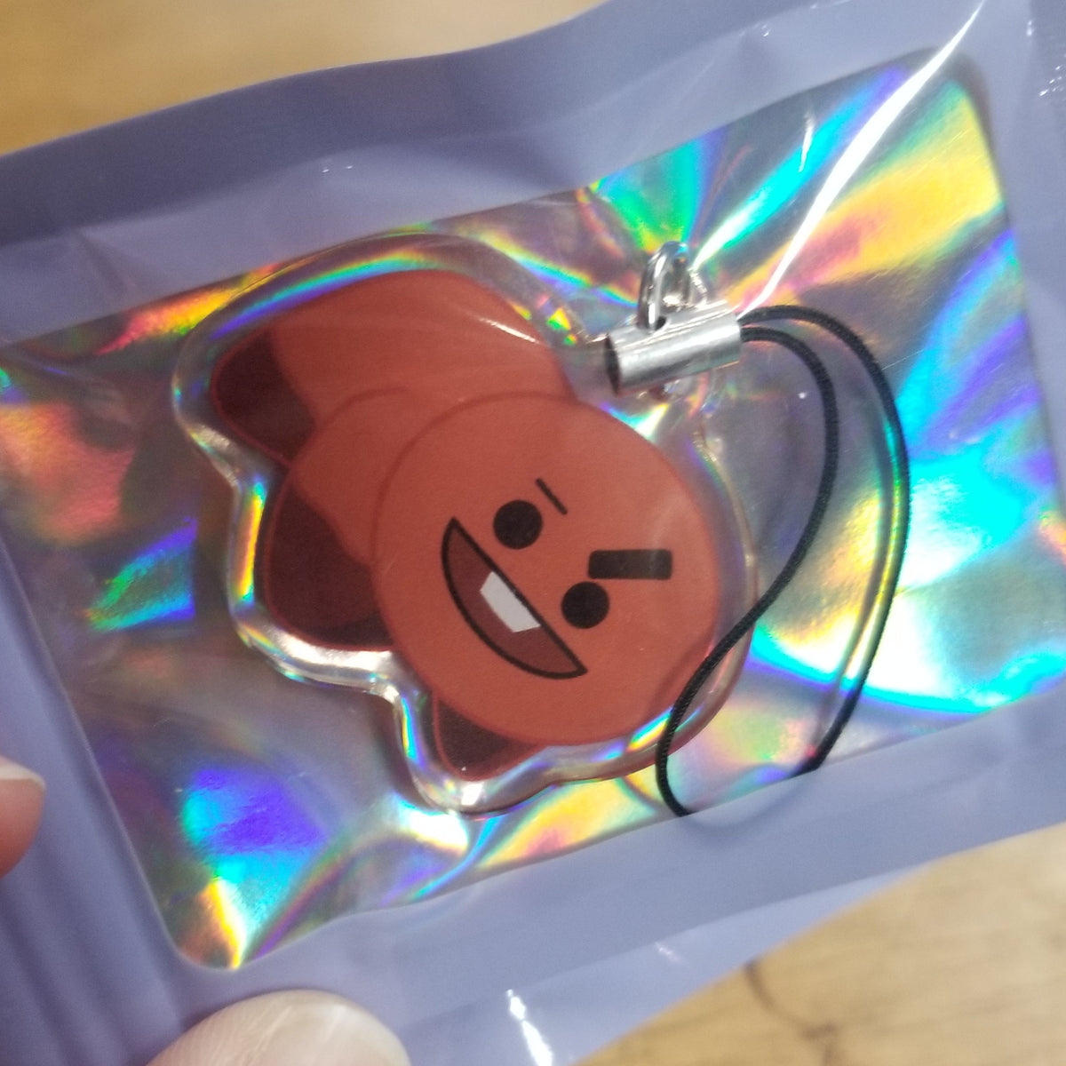 Pillow Friends B21 Phone Charm