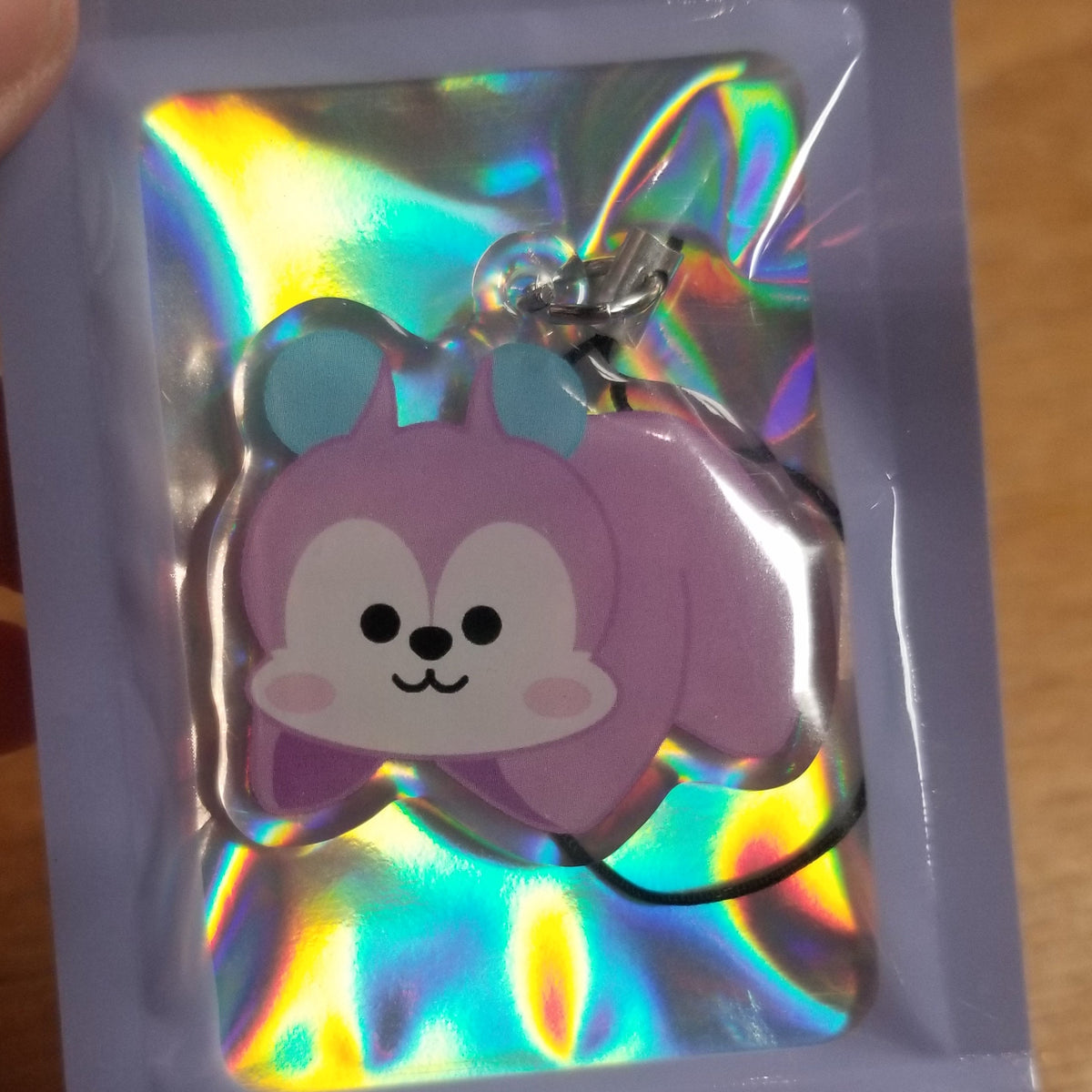Pillow Friends B21 Phone Charm