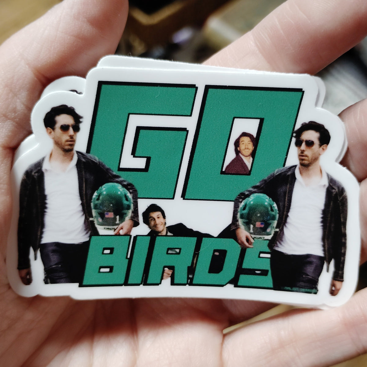 Go Birds Holding Helmet MAGNET by Malign Designs