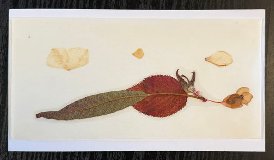 Wingless Flight PRESSED FLOWER STiCKER by a sticker fairy