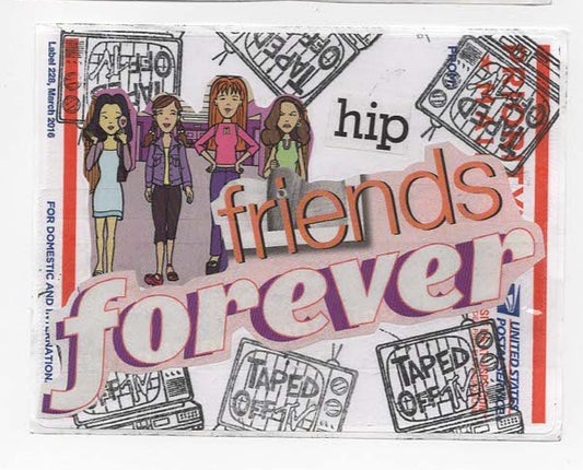 Hip Friends Forever COLLAGE STiCKER by Taped Off TV ( Quinn & Crew )